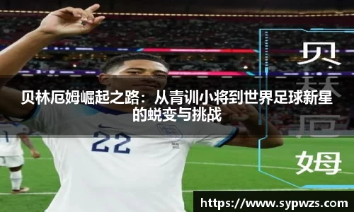 AC米兰体育官网入口